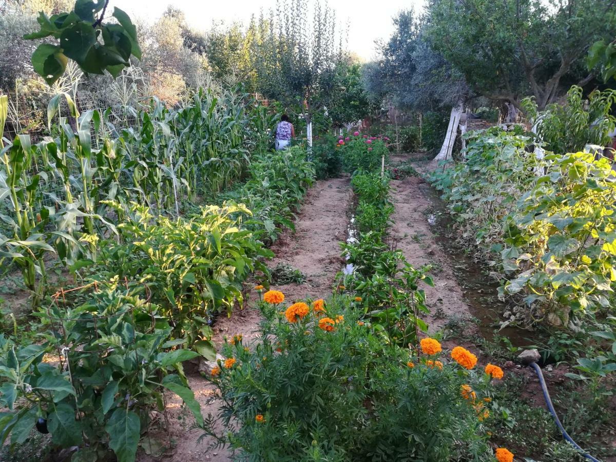 Bio Garden Stonehouse Villa Gonia Exterior photo